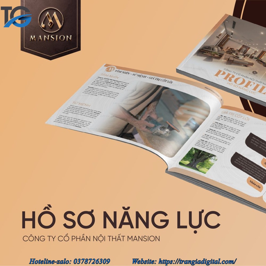 Dịch vụ thiết kế profile hồ sơ năng lực công ty
