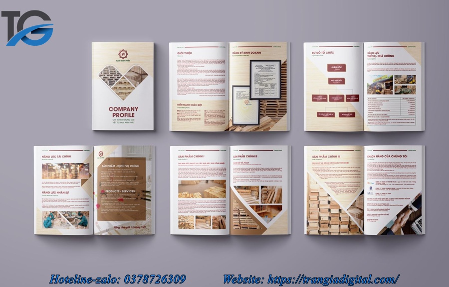 Dịch vụ thiết kế profile hồ sơ năng lực công ty