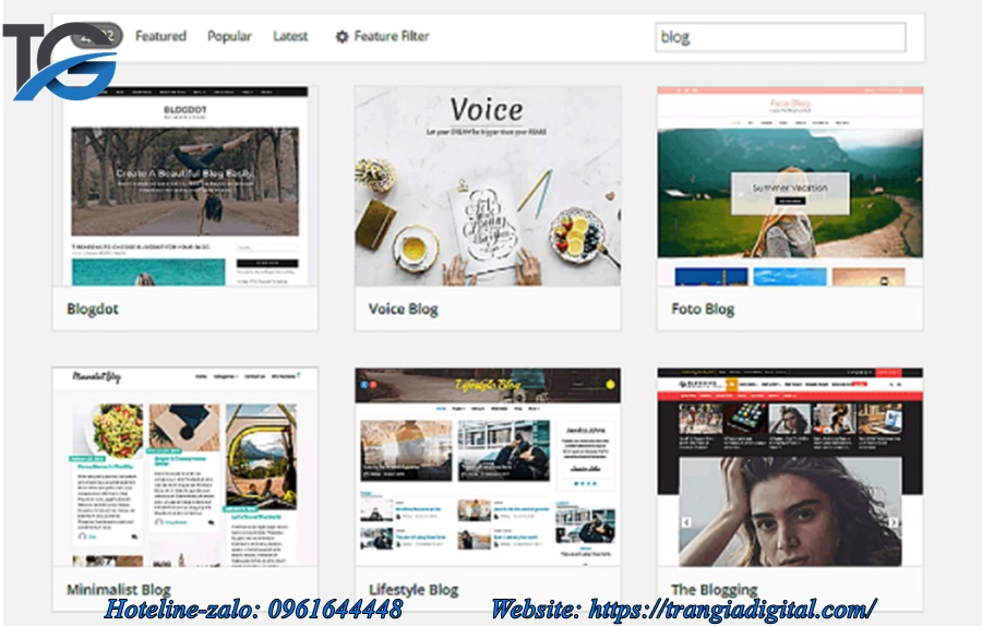 thiết kế website; thiết kế web