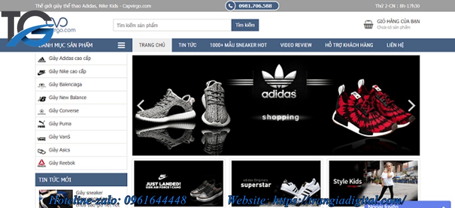 thiết kế website; thiết kế web